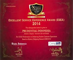 3._Excellent_Service_Experience_Award_xESEAx_2014