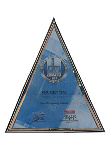 Digital_Marketing_Award_2011
